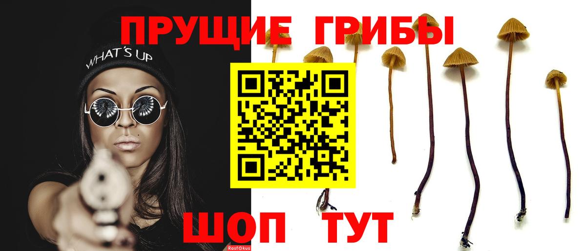 Ставрополь  Псилоцибиновые грибы мицелий  Вход с VPN 