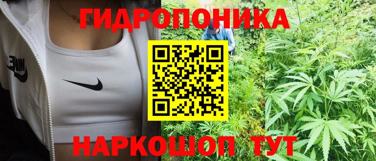 МАРИХУАНА ГИДРОПОН  Каннабис VHQ  Ставрополь  Вход с VPN 